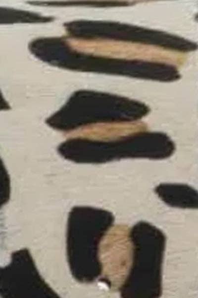Belted Bliss Leopard Belt (One-Inch) Gretchen Scott LLC