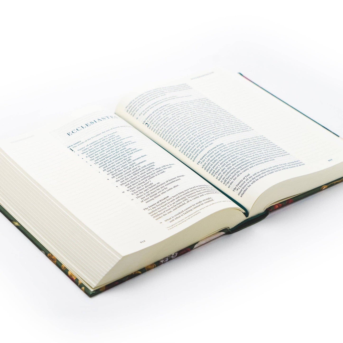 ‘Hollis’ ESV Large Print Journaling Bible – Garden Green