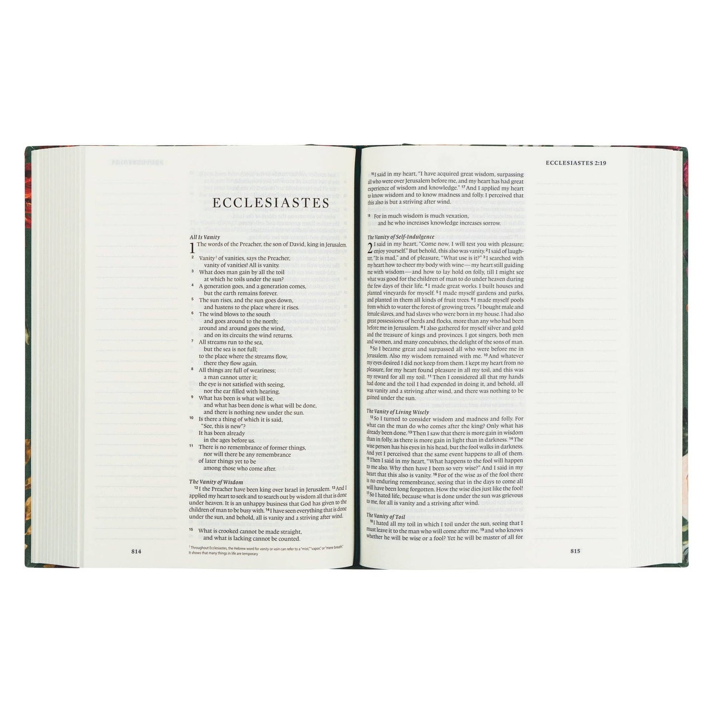 ‘Hollis’ ESV Large Print Journaling Bible – Garden Green