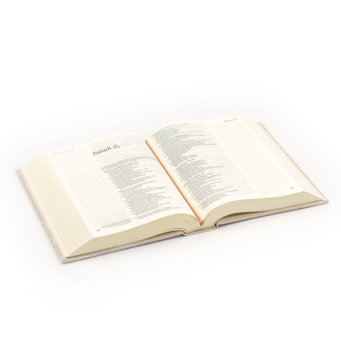 ‘Cordova’ NLT Notetaking Bible – Lace Ivory
