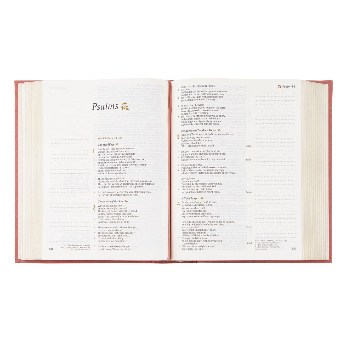 ‘Rosedal’ CSB Notetaking Bible – Blush Botanical