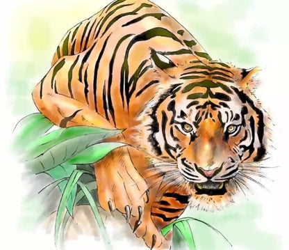 My Tiny Tiger