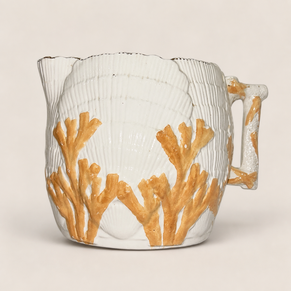 Antique shell and seaweed large pitcher on an ivory studio background