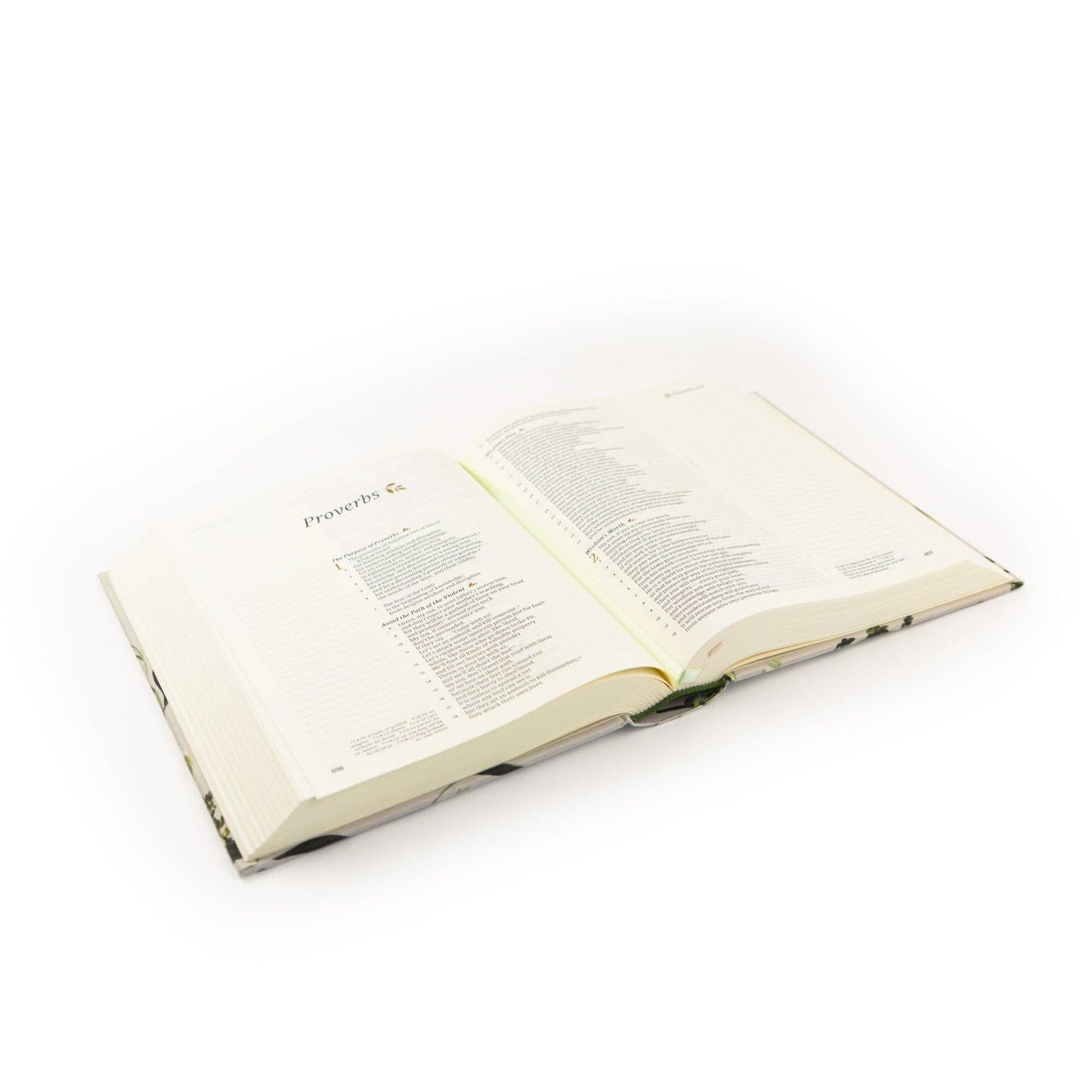 ‘Dorset’ CSB Notetaking Bible – Beige Floral