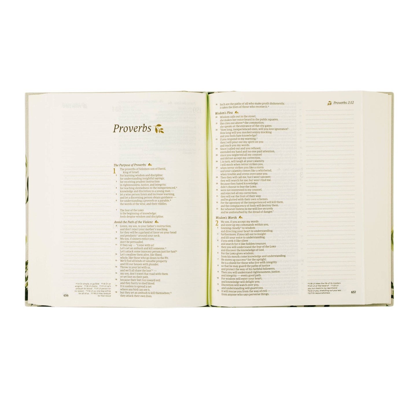 ‘Dorset’ CSB Notetaking Bible – Beige Floral