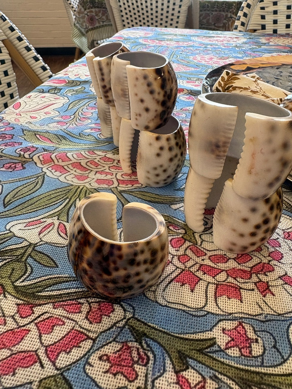 Set of 8 Tiger Cowrie Shell Cups by Unknown
