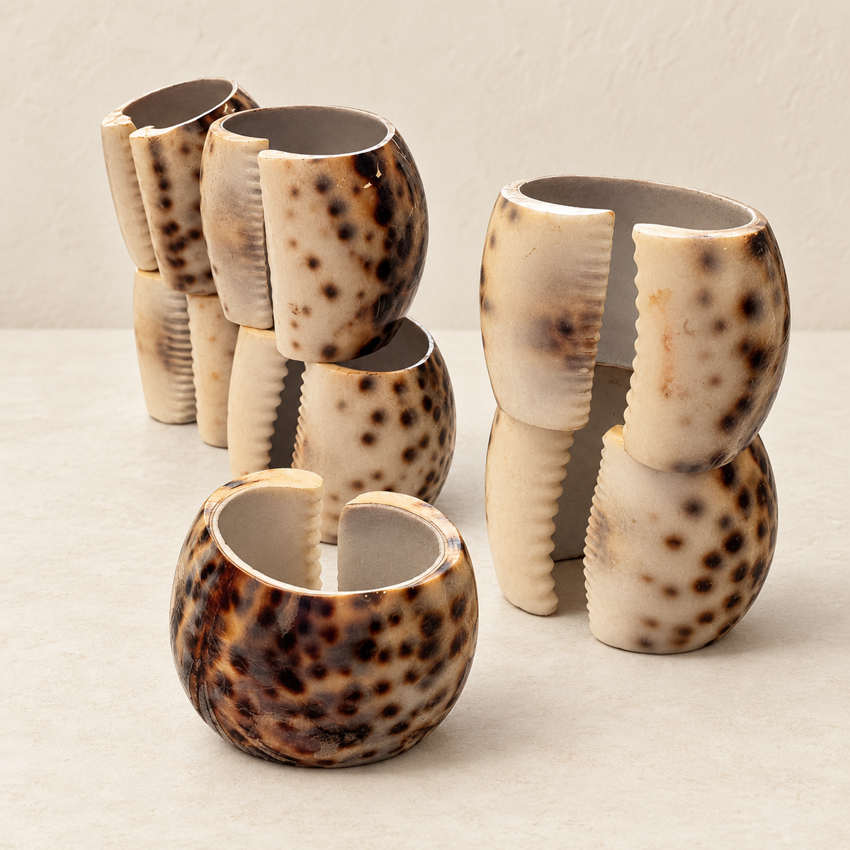 Tiger Cowrie Shell Cups on warm ivory background